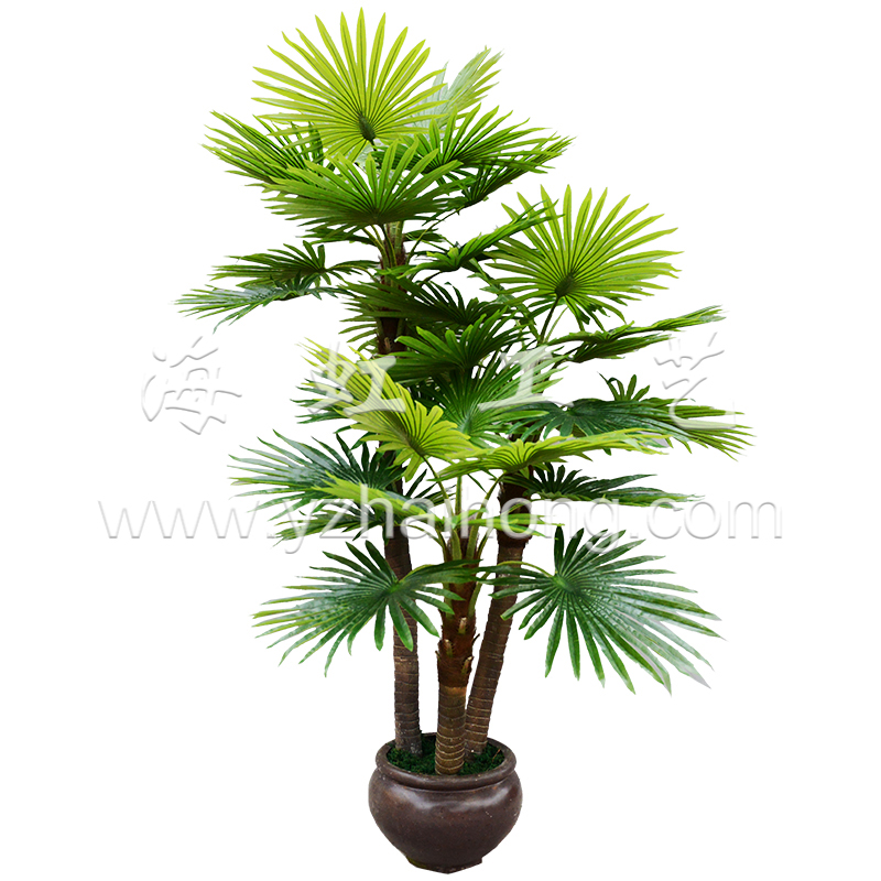 Palm tree series    